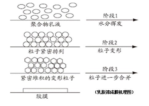 乳膠漆成(chéng)膜機理