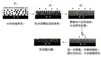 亮豹複合隔離漆解決回南天房間發(fā)黴問題